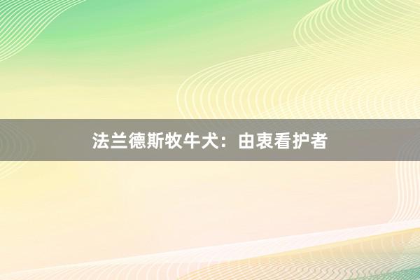 法兰德斯牧牛犬：由衷看护者