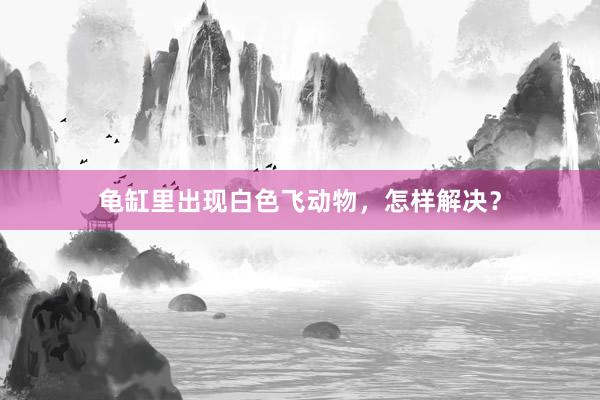 龟缸里出现白色飞动物，怎样解决？